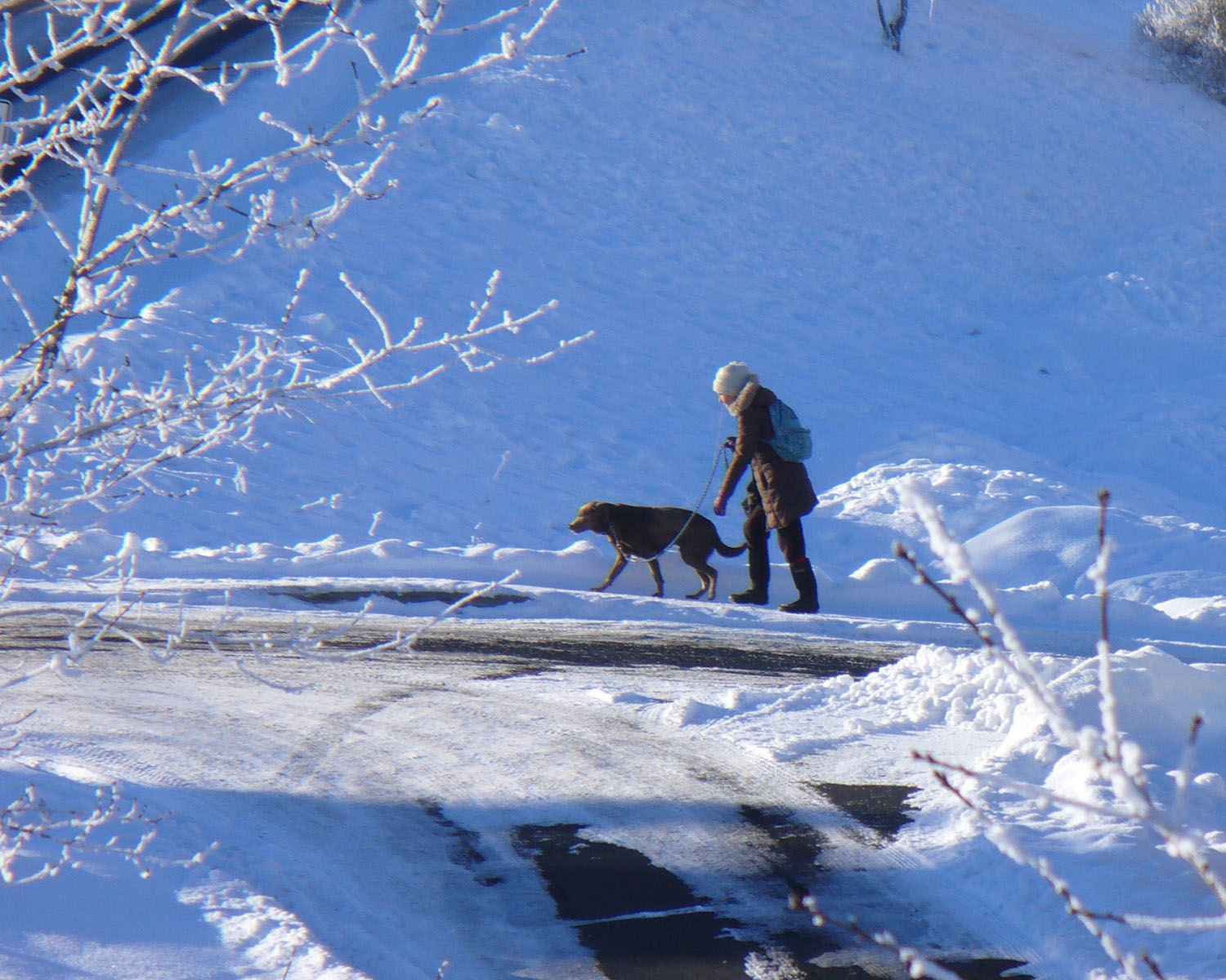 Walker with dog in snow by Susan Fluegel